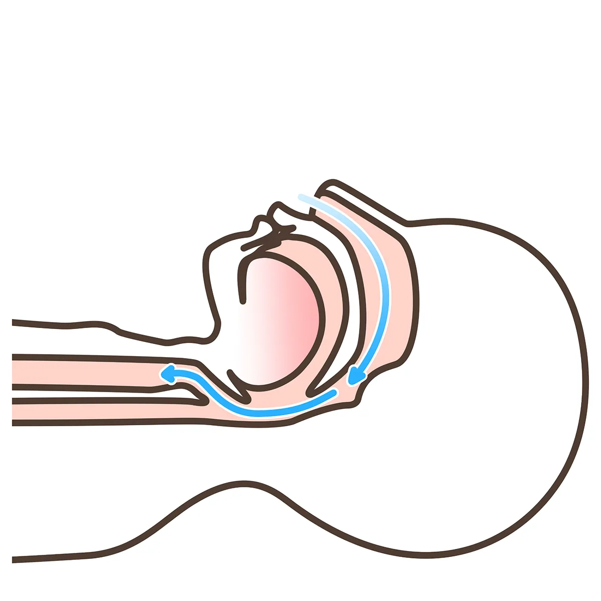 睡眠時無呼吸症候群 正常 イラスト